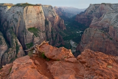 Observation Point in Zion National Park