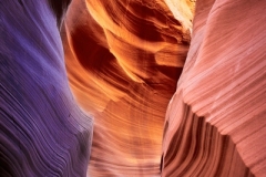 This image is an amazing example of the slot canyons around Page Arizona.  The purple, red, and yellow colors are so exciting.  This is Secret Canyon.  This canyon was so awesome to photograph!