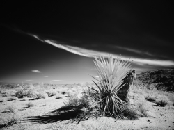 High Desert IR 1