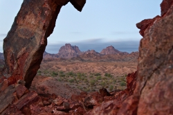 Picacho Peak Through The Park Eye