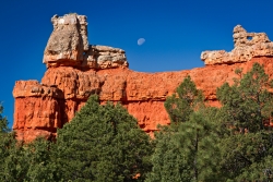 Red Canyon With Moon