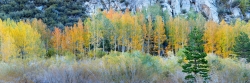 Changing Colors