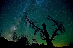 Photograph of Milky Way Stars with eerie tree at Shermans Pass, California