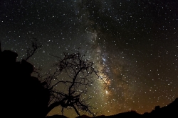 Photograph of Milky Way Stars with dead shrub on a cliff in Valley of the Moon, California across the Night Sky